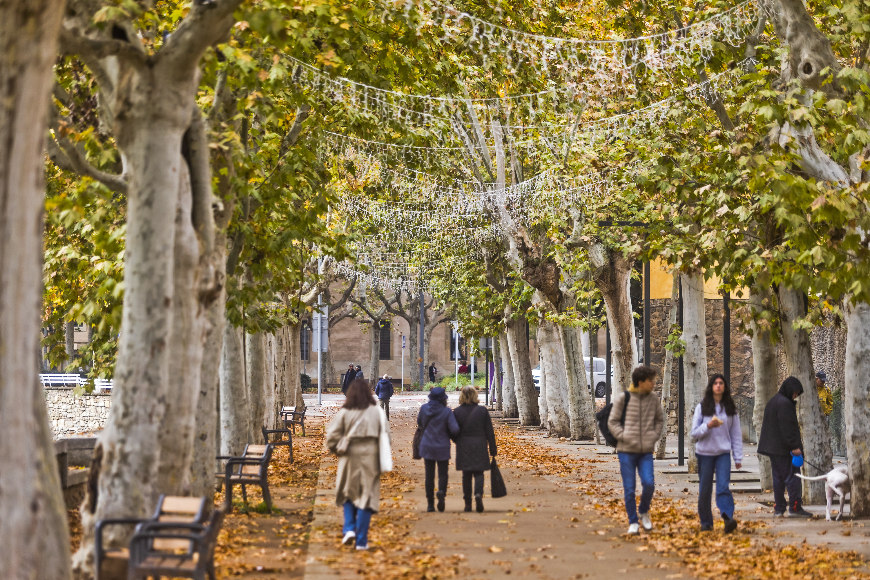Rambla del Bisbat, a Vic